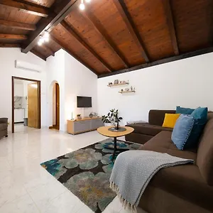 Maslina , Zadar Kroatien